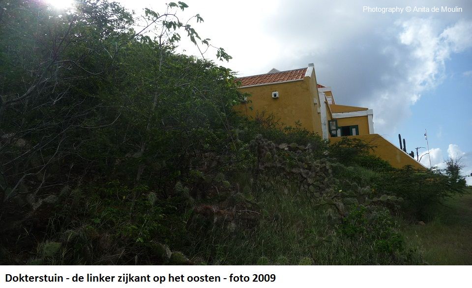 15. Dokterstuin linkerzijde op het oosten 2009